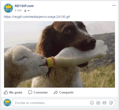 GIF en Facebook