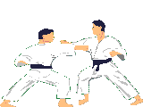 GIFs animados en Judo