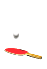 GIFs animados en Palas De Ping Pong