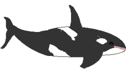 GIFs animados en Orcas