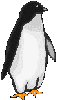 GIFs animados en Pingüinos