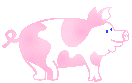 GIFs animados en Cerdos