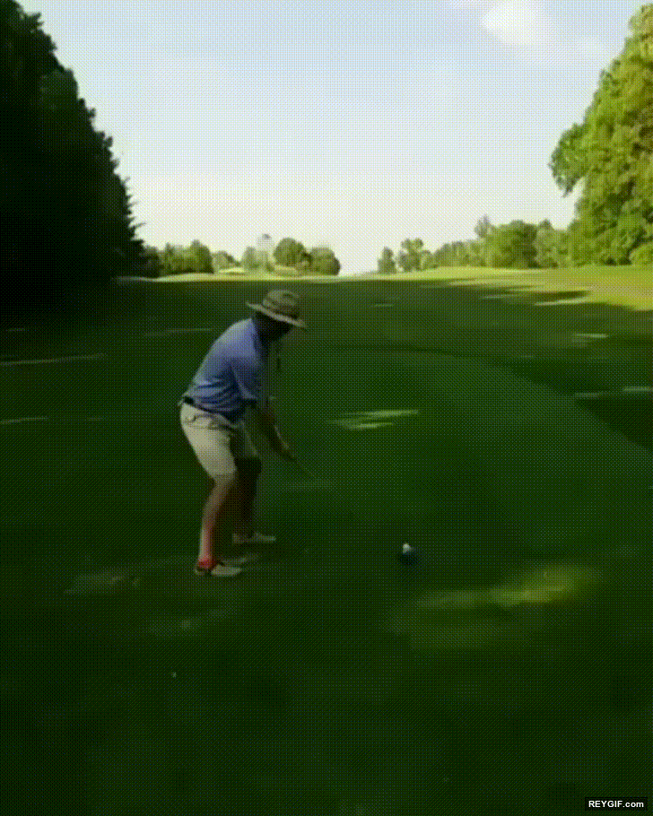 GIF animado (116379) A veces los adultos olvidan que solo es un juego