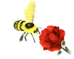GIF animado (8160) Abeja en una flor amarilla