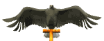 GIF animado (6658) Aguila calva