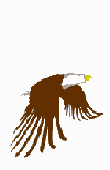 GIF animado (6663) Aguila calva batiendo las alas