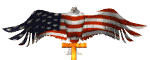GIF animado (6664) Aguila calva con la bandera de estados unidos