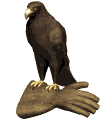 GIF animado (6689) Aguila real
