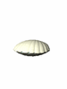 GIF animado (5954) Almeja sirena