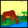 GIF animado (8608) Antilope bebiendo agua
