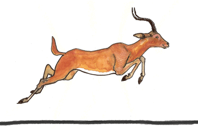 GIF animado (8612) Antilope corriendo
