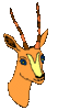 GIF animado (8614) Antilope cuernos