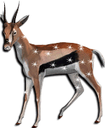 GIF animado (8615) Antilope glitter