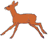 GIF animado (8616) Antilope hembra
