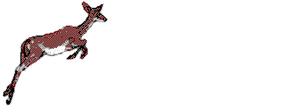GIF animado (8618) Antilope saltando