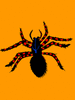 GIF animado (6574) Arana peluda