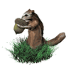 GIF animado (8631) Ardilla
