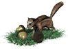 GIF animado (8632) Ardilla