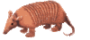 GIF animado (8693) Armadillo