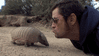GIF animado (8702) Armadillo beso