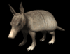 GIF animado (8721) Armadillo negro