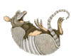 GIF animado (8724) Armadillo riendo