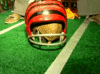 GIF animado (8726) Armadillo rugby