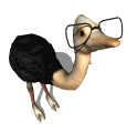 GIF animado (6724) Avestruz con gafas