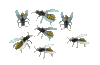 GIF animado (8202) Avispas