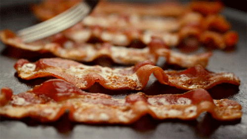 GIF animado (12) Bacon