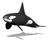 GIF animado (6212) Ballena asesina