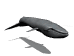 Imagen GIF de Ballena nadando animado