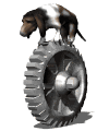 GIF animado (10417) Basset hound