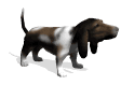 GIF animado (10418) Basset hound