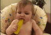 GIF animado (181) Bebe comiendo pepinillo