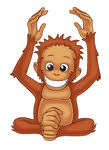 GIF animado (9778) Bebe orangutan