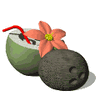 GIF animado (1096) Bebida de coco