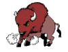 GIF animado (8735) Bisonte