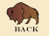 GIF animado (8745) Bisonte back