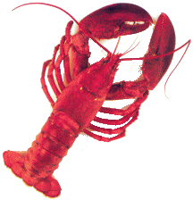 Imagen GIF de Bogavante animado