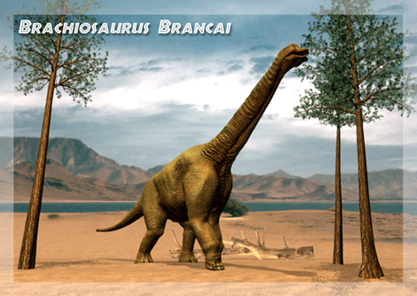 GIF animado (7522) Brachiosaurus brancai