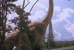 GIF animado (7526) Braquiosaurio