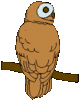 GIF animado (6751) Buho