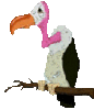 GIF animado (6805) Buitre