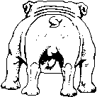 GIF animado (10468) Bulldog de espaldas