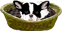 GIF animado (10527) Bulldog frances durmiendo