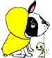 GIF animado (10530) Bulldog frances impermeable