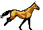 GIF animado (8799) Caballo al galope