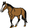 GIF animado (8811) Caballo al trote