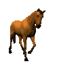 GIF animado (8815) Caballo andando